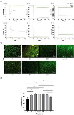 The effect of titanium surface treatment by application of constant potential or current on the viability of pre-osteoblast cells: an in-vitro study